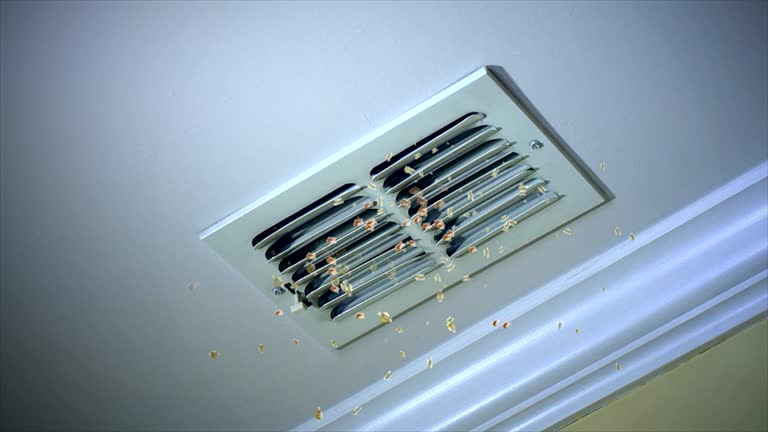 Best Ductwork Cleaning Services  in Newton, AL