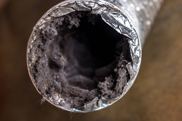 Best Air Duct Cleaning Near Me in Newton, AL