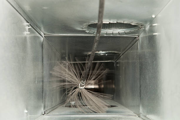 Best Emergency Air Duct Cleaning  in Newton, AL